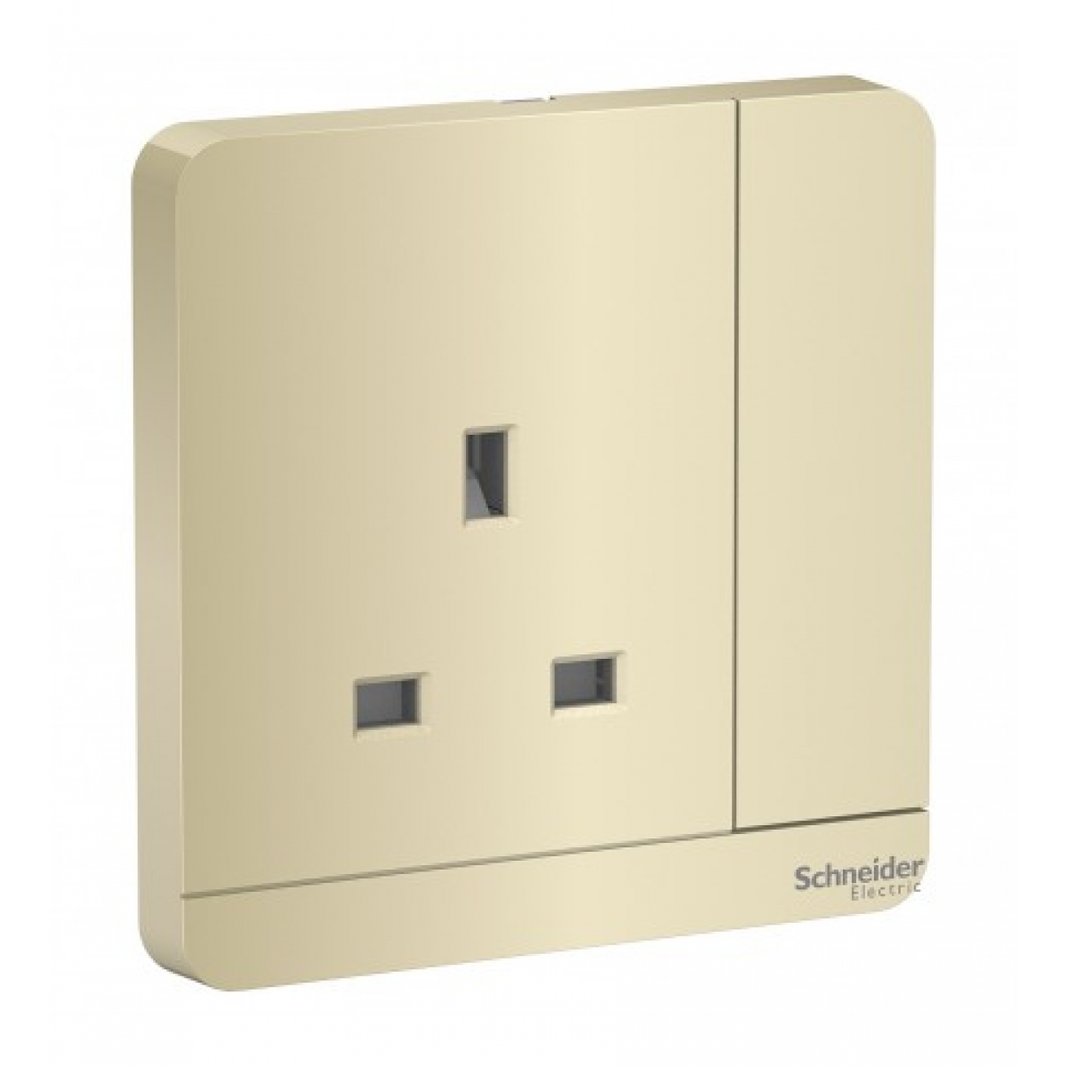 Schneider Electric 施耐德電氣 AvatarOn 13A單位連保護門有掣插座連LED指示燈 (沉醉金)